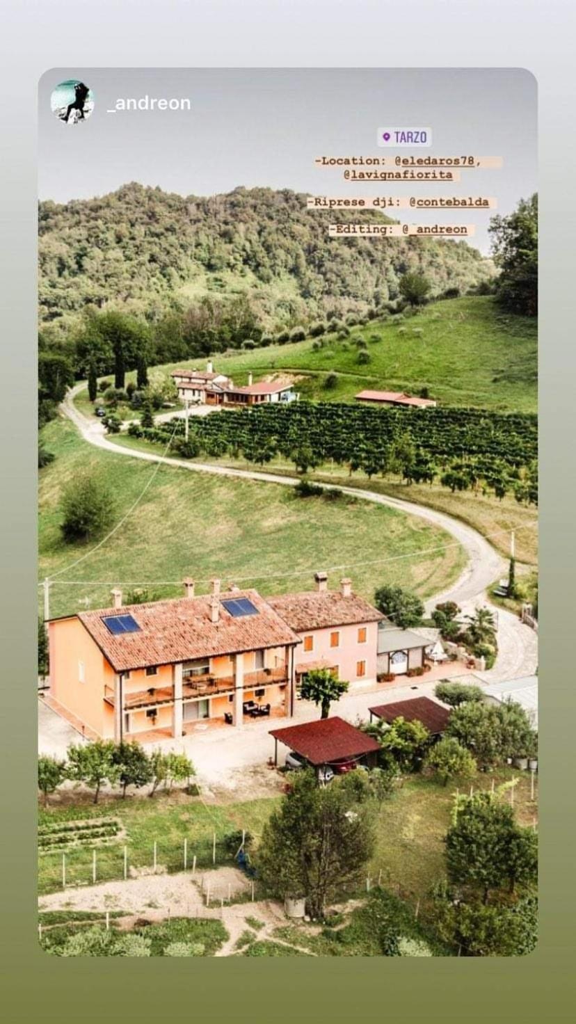 La Vigna Fiorita B&B Tarzo Eksteriør billede